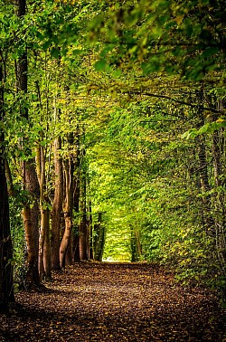 Find your path to poetry..... 2018-2023